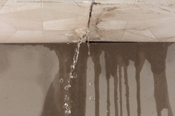 Professional Structural Drying technician working in Seville, OH